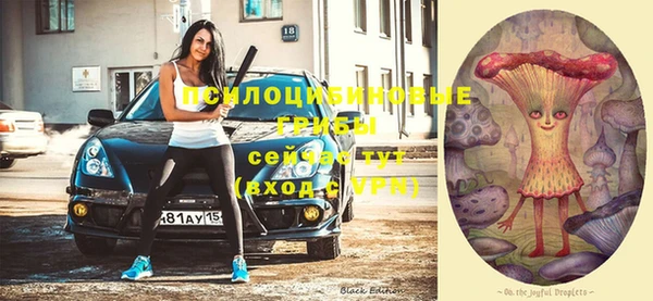 spice Пестово