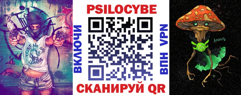 Псилоцибиновые грибы GOLDEN TEACHER  Владивосток 