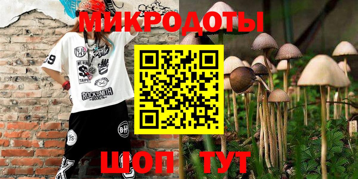 Галлюциногенные грибы мицелий Владивосток