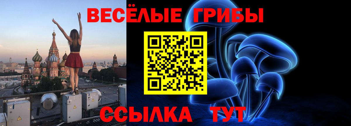 Галлюциногенные грибы GOLDEN TEACHER  Вход с VPN  Владивосток 